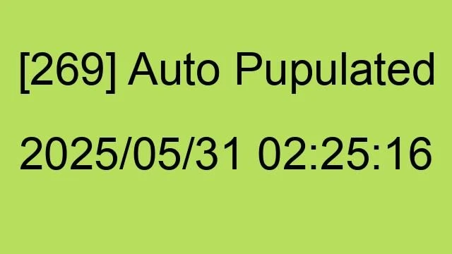 [269] Auto 2025/05/31 02:25:16