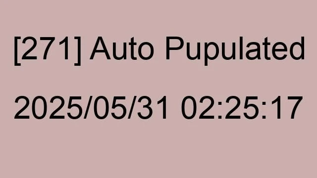 [271] Auto 2025/05/31 02:25:17