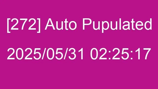 [272] Auto 2025/05/31 02:25:17