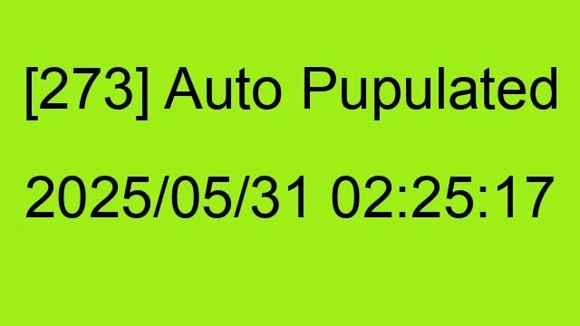 [273] Auto 2025/05/31 02:25:17
