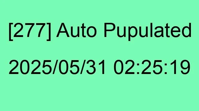 [277] Auto 2025/05/31 02:25:19