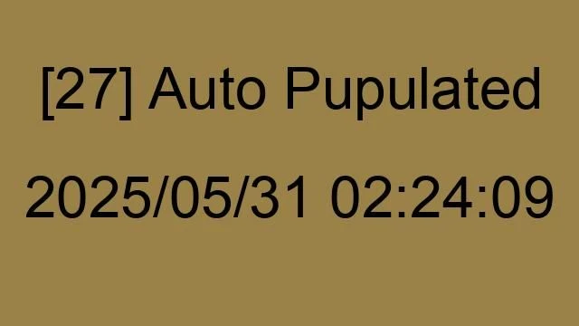 [27] Auto 2025/05/31 02:24:09