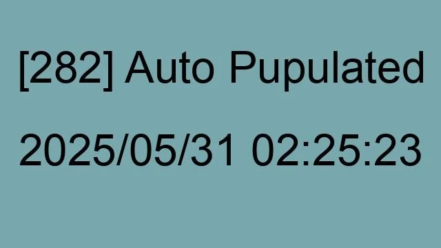 [282] Auto 2025/05/31 02:25:23