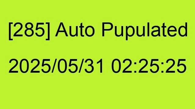 [285] Auto 2025/05/31 02:25:25