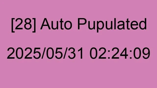 [28] Auto 2025/05/31 02:24:09
