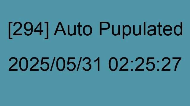[294] Auto 2025/05/31 02:25:27