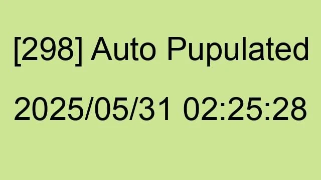[298] Auto 2025/05/31 02:25:28