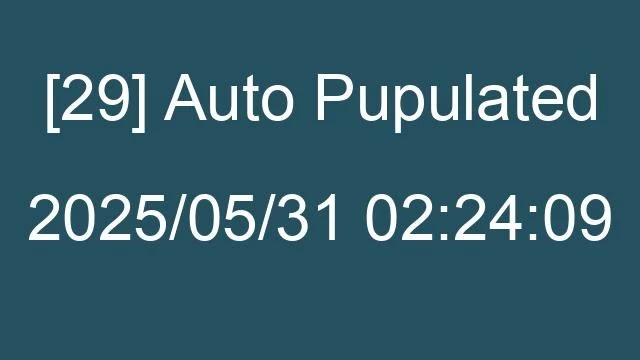 [29] Auto 2025/05/31 02:24:09