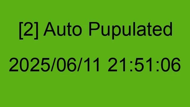 [2] Auto 2025/06/11 21:51:06