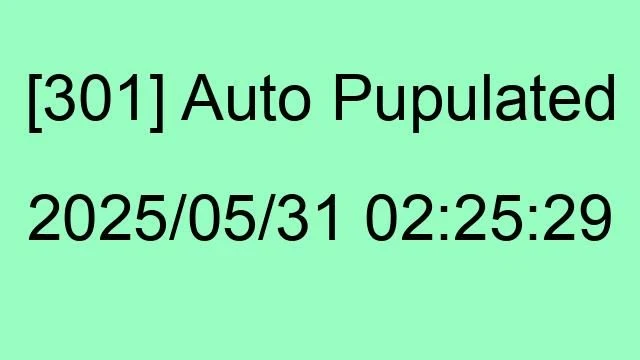 [301] Auto 2025/05/31 02:25:29