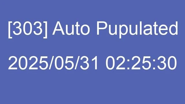 [303] Auto 2025/05/31 02:25:30