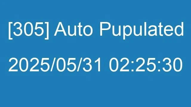 [305] Auto 2025/05/31 02:25:30