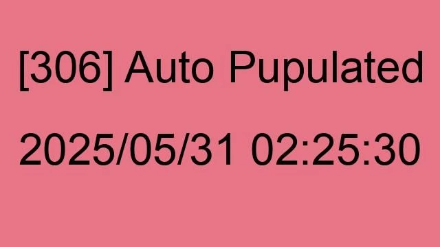 [306] Auto 2025/05/31 02:25:30