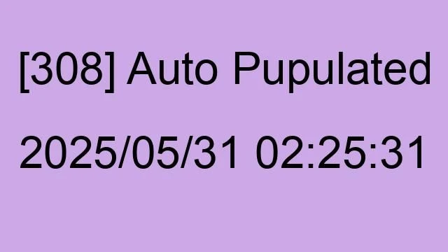 [308] Auto 2025/05/31 02:25:31