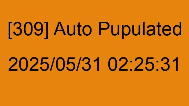 [309] Auto 2025/05/31 02:25:31