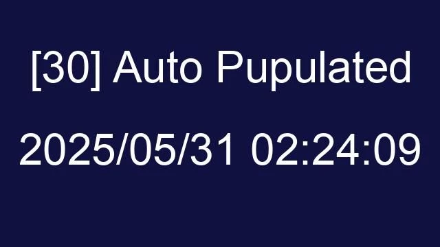 [30] Auto 2025/05/31 02:24:09