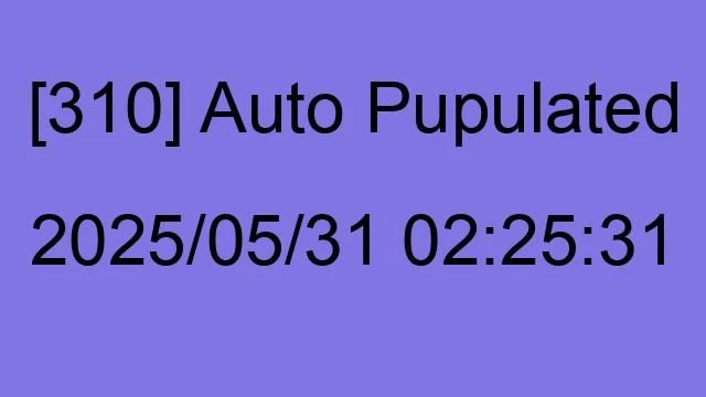 [310] Auto 2025/05/31 02:25:31