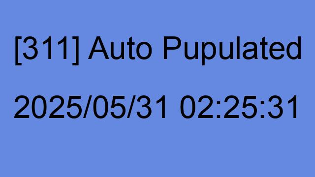 [311] Auto 2025/05/31 02:25:31