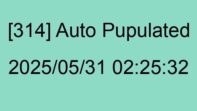 [314] Auto 2025/05/31 02:25:32