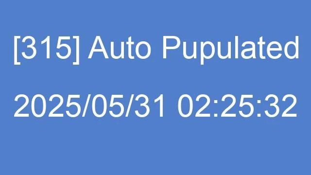 [315] Auto 2025/05/31 02:25:32