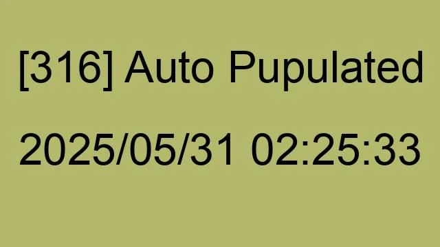 [316] Auto 2025/05/31 02:25:33