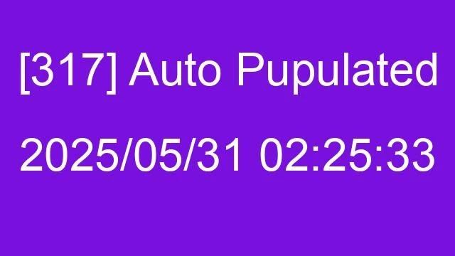[317] Auto 2025/05/31 02:25:33