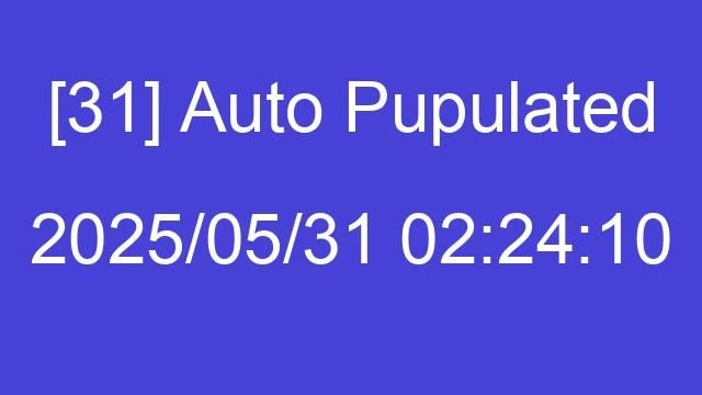 [31] Auto 2025/05/31 02:24:10
