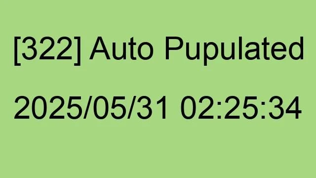 [322] Auto 2025/05/31 02:25:34