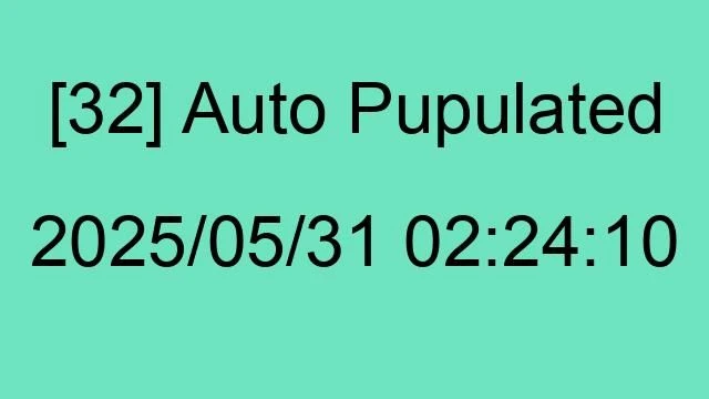 [32] Auto 2025/05/31 02:24:10