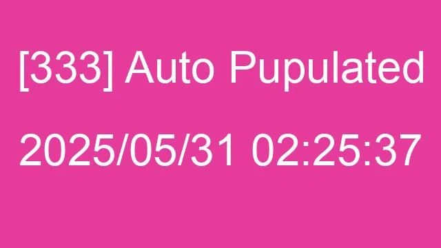 [333] Auto 2025/05/31 02:25:37