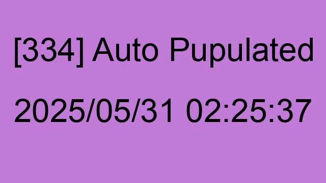 [334] Auto 2025/05/31 02:25:37