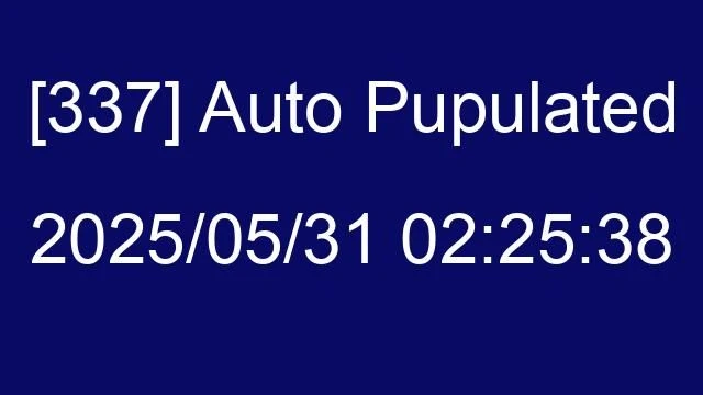 [337] Auto 2025/05/31 02:25:38