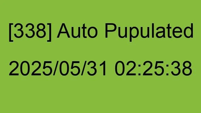 [338] Auto 2025/05/31 02:25:38