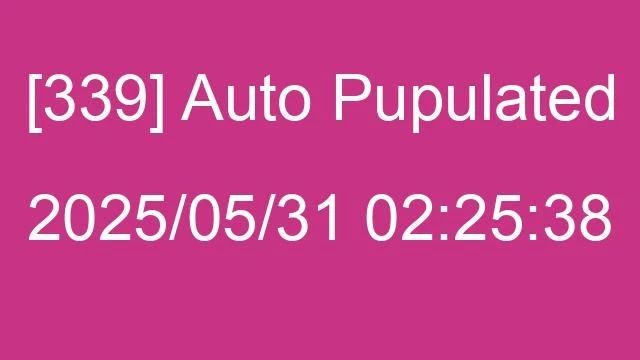 [339] Auto 2025/05/31 02:25:38