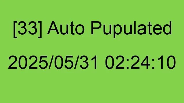 [33] Auto 2025/05/31 02:24:10