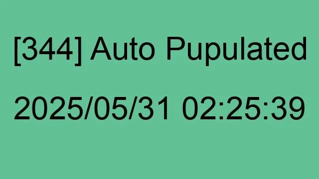 [344] Auto 2025/05/31 02:25:39