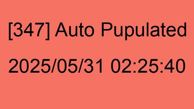 [347] Auto 2025/05/31 02:25:40