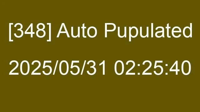 [348] Auto 2025/05/31 02:25:40