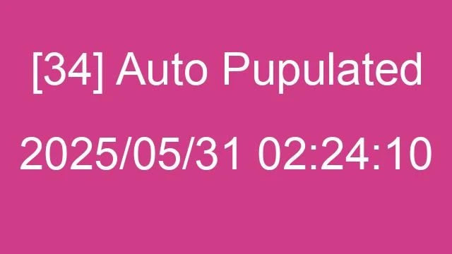 [34] Auto 2025/05/31 02:24:10