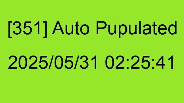 [351] Auto 2025/05/31 02:25:41