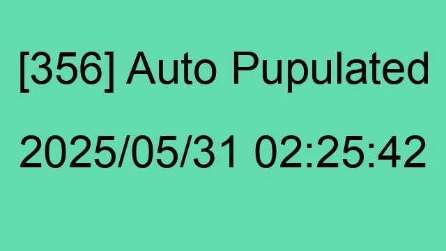 [356] Auto 2025/05/31 02:25:42