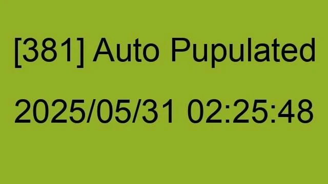 [381] Auto 2025/05/31 02:25:48