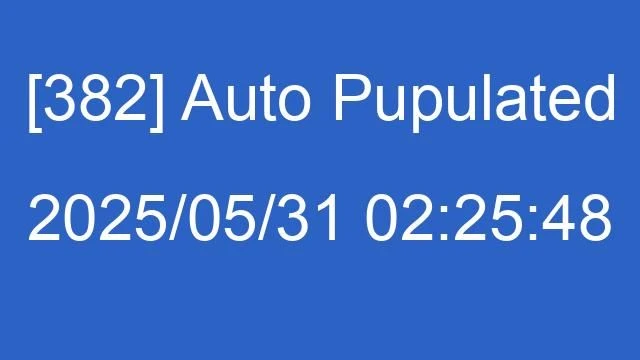 [382] Auto 2025/05/31 02:25:48