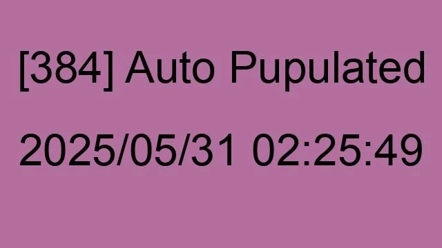 [384] Auto 2025/05/31 02:25:49