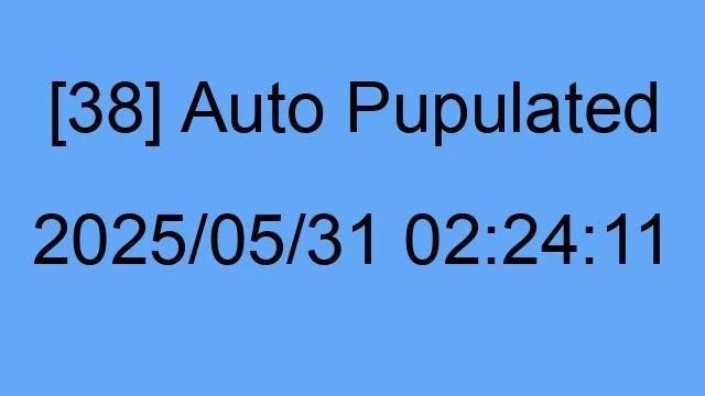 [38] Auto 2025/05/31 02:24:11