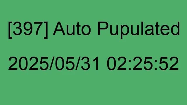 [397] Auto 2025/05/31 02:25:52