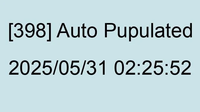 [398] Auto 2025/05/31 02:25:52