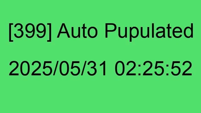 [399] Auto 2025/05/31 02:25:52