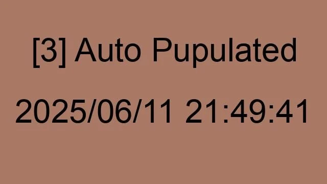 [3] Auto 2025/06/11 21:49:41