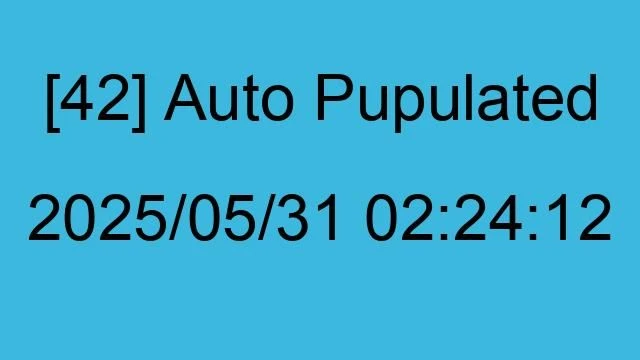 [42] Auto 2025/05/31 02:24:12